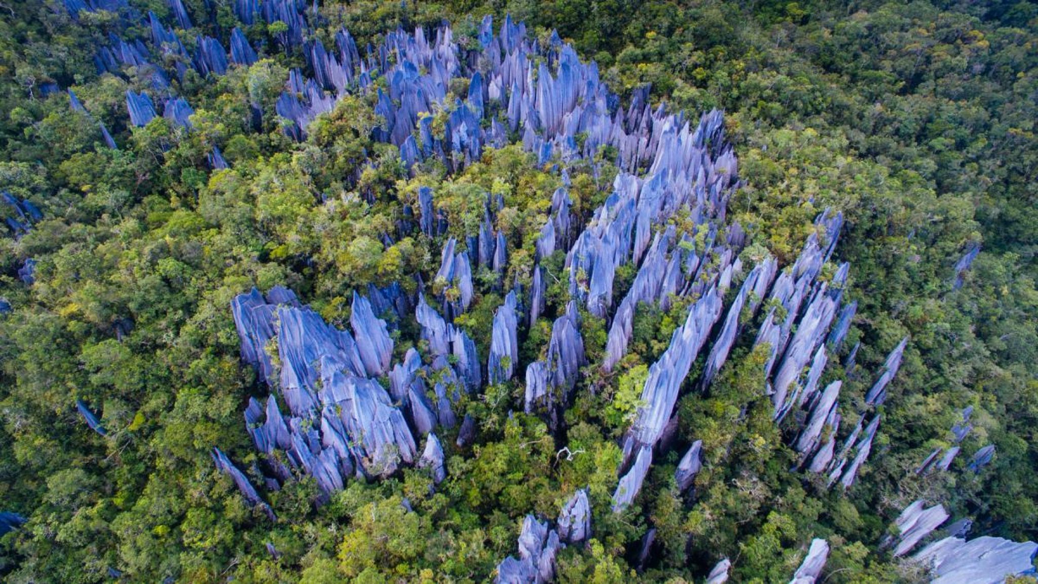 Gunung Mulu National Park [2023]