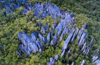 Gunung Mulu National Park