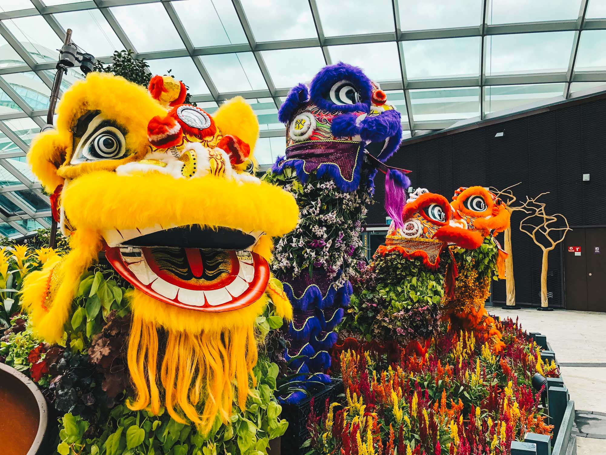 Activities during the Chinese New Year in Singapore in 2024: Light Shows, Lion Dances, and Chingay Parade