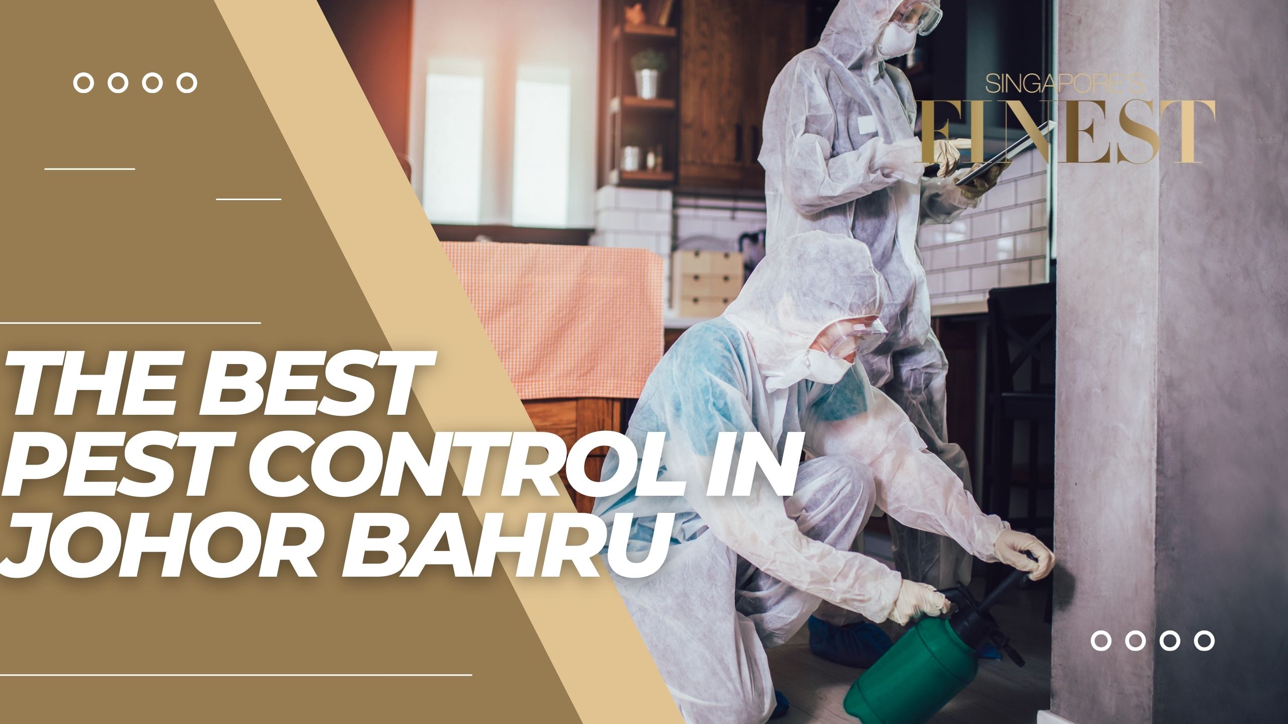 The Finest Companies for the Best Pest Control in Johor Bahru