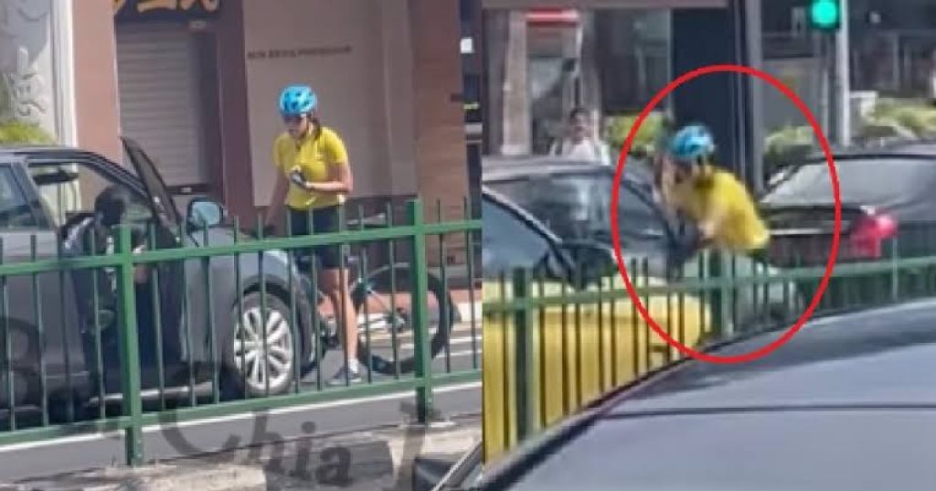 The woman who fled a viral confrontation in Katong with a cyclist on her bonnet has entered a guilty plea