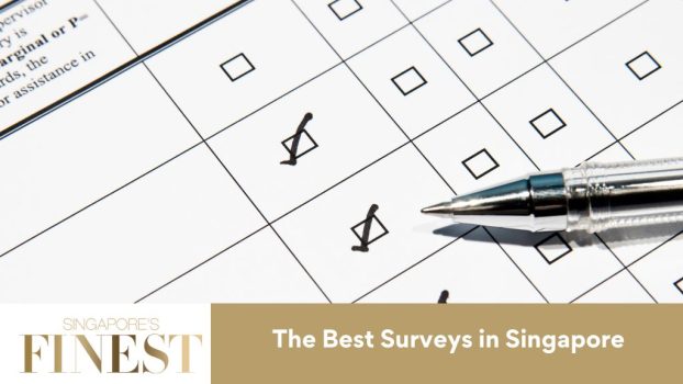 The Finest Surveys in Singapore