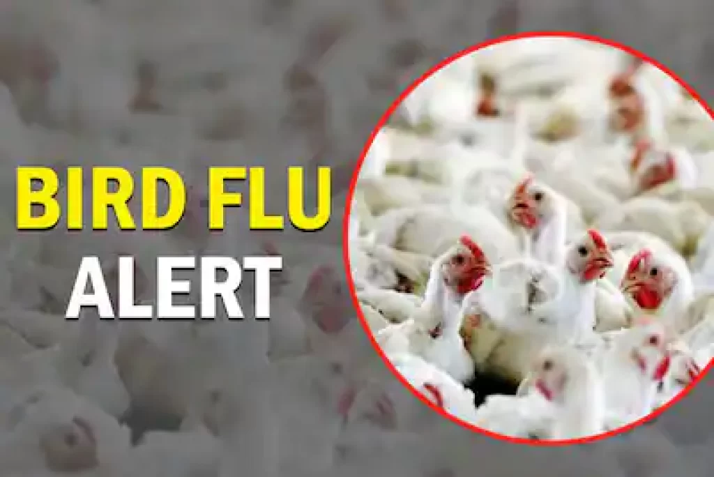 Authorities Issue Bird Flu Advisory