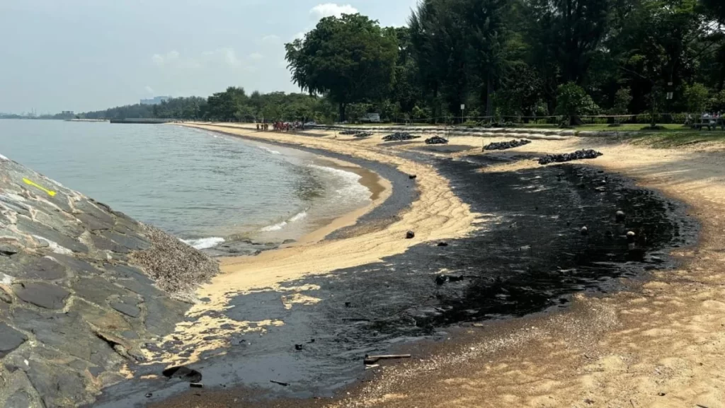 Sentosa Deploys 100 Workers to Intensify Beach Clean-Up After Oil Spill