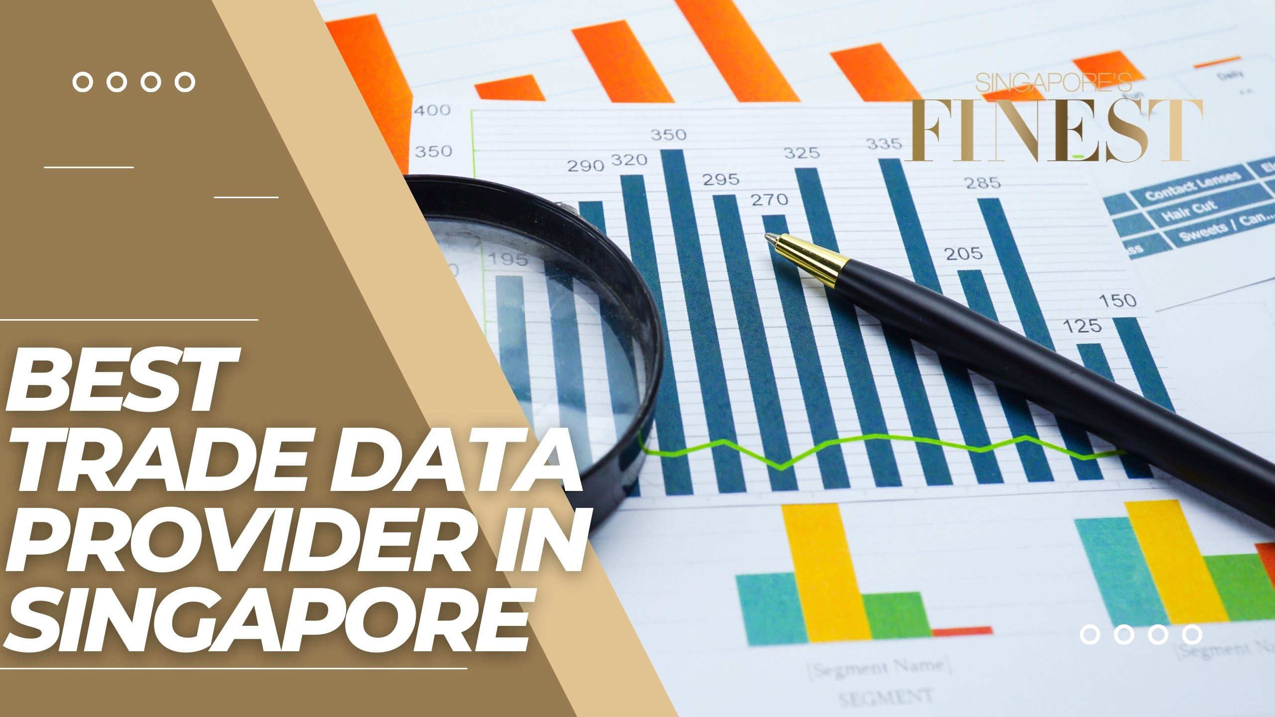 The Finest Trade Data Provider in Singapore