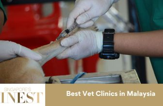The Finest Vet Clinics in Malaysia