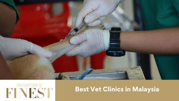 The Finest Vet Clinics in Malaysia