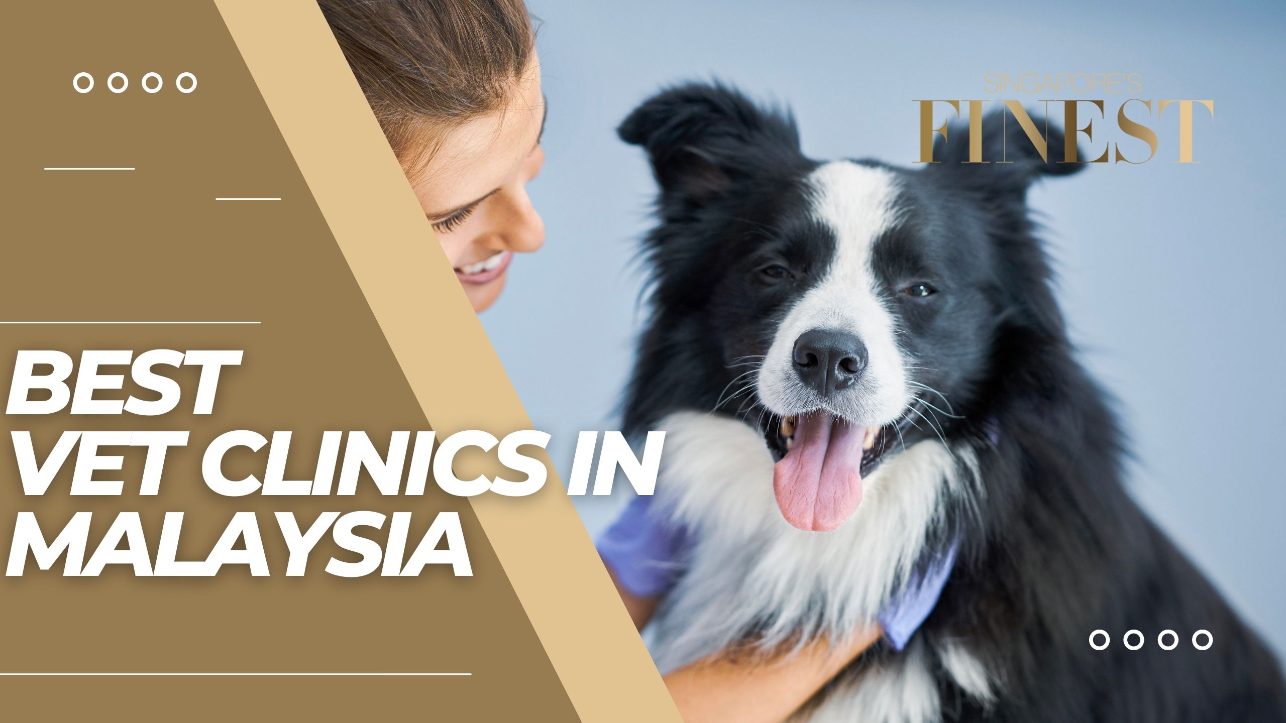 The Finest Vet Clinics in Malaysia