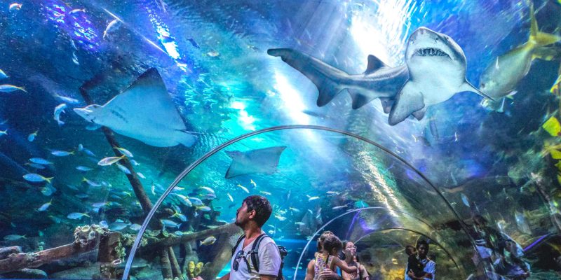 Aquaria KLCC – Aquarium in Kuala Lumpur, Malaysia