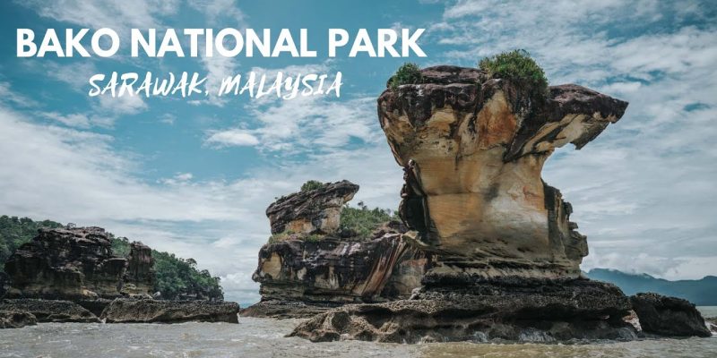 Bako National Park Malaysia