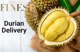 10 Best Durian Delivery Services in Singapore