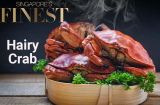 10 Best Fresh Hairy Crab in Singapore
