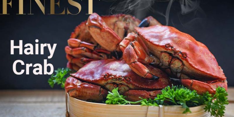 10 Best Fresh Hairy Crab in Singapore