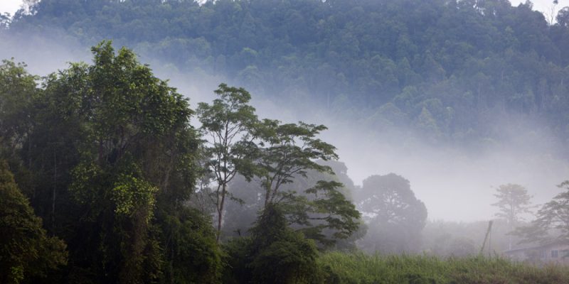 Kinabatangan Wildlife Sanctuary