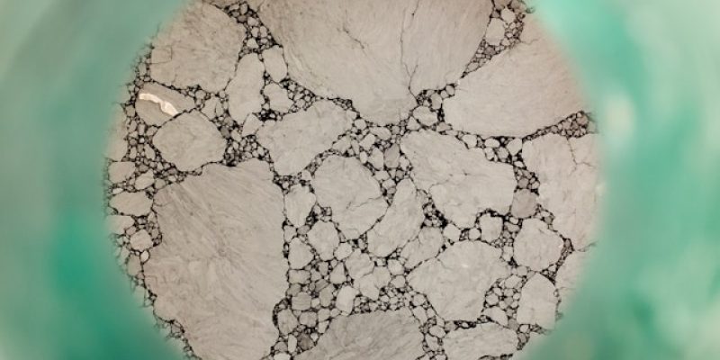 Mold Remediation vs Mold Removal: What’s the Difference?