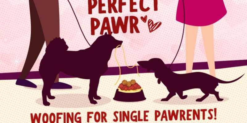 We Make A Perfect Pawr