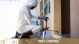 Pest Control Service in Singapore