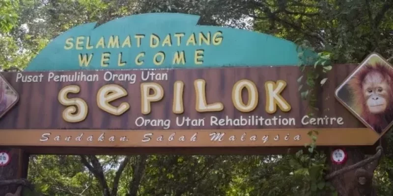 Pusat Pemuliharaan Orang Utan Sepilok – Animal Protection Organization in Sandakan, Malaysia