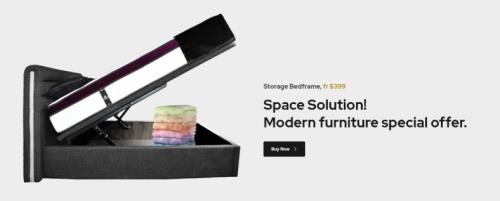 Storage Bedframe Model