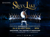 Swan Lake in Singapore
