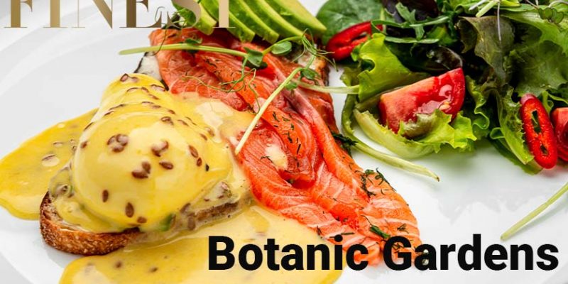 10 Best Botanic Gardens Restaurants in Singapore