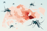 In the first quarter of 2024, dengue infections doubled, and seven deaths were recorded