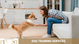 The Finest Trainers for Dog Training Services in Singapore