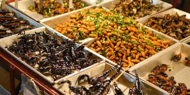 The Finest Exotic Food Restaurants in Singapore