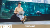The Finest Fish Tanks in Singapore