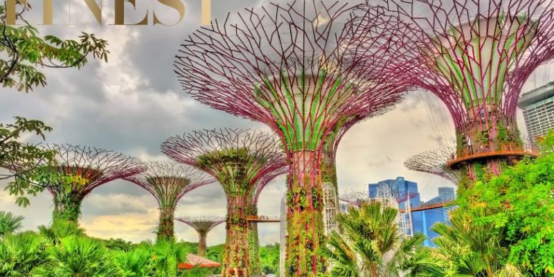The Finest Restaurants at Gardens by the Bay