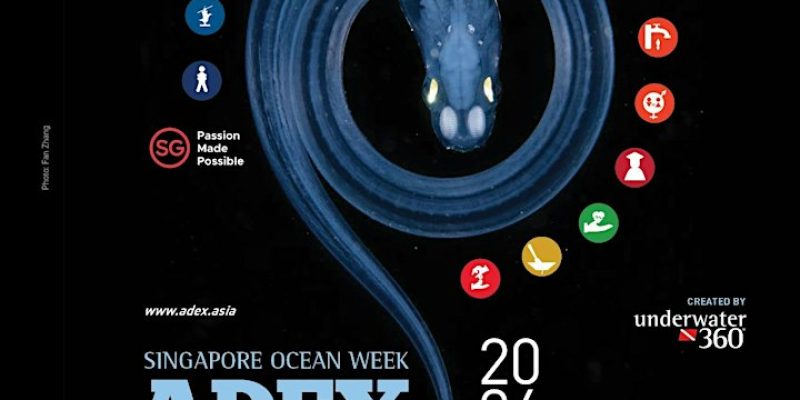 SINGAPORE OCEAN WEEK – ADEX Ocean Festival Singapore 2024
