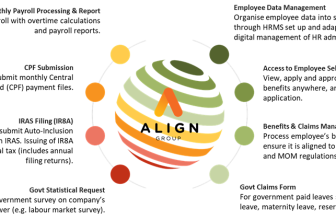 “Hassle-Free” Your Payroll With Align Group