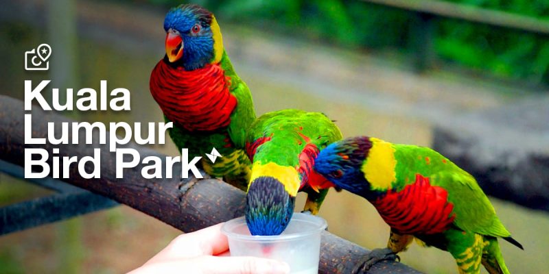 KL Bird Park – Wildlife park in Kuala Lumpur, Malaysia