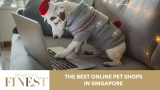 The Finest Online Pet Stores in Singapore