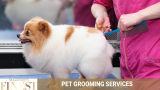 The Finest Pet Grooming Salons in Singapore