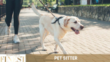 The Finest Pet Sitters in Singapore