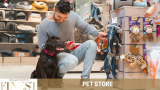 The Finest Pet Stores in Singapore