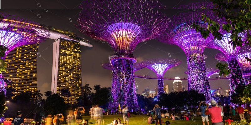 Supertree Grove: Watch in Amazement