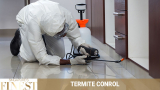 The Finest Termite Control Experts in Singapore