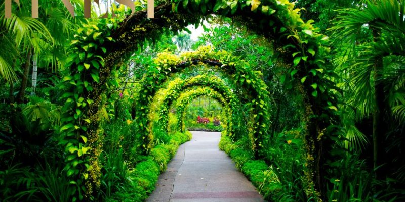 The Finest Things to do Near Botanic Gardens