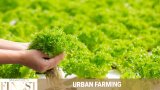 The Finest Urban Farming in Singapore