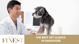 The Finest Vet Clinics in Singapore